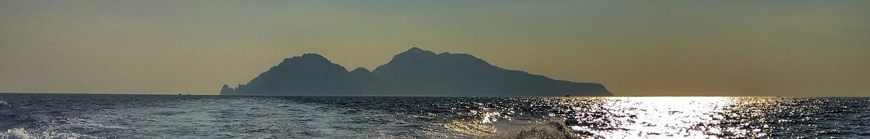 come muoversi capri